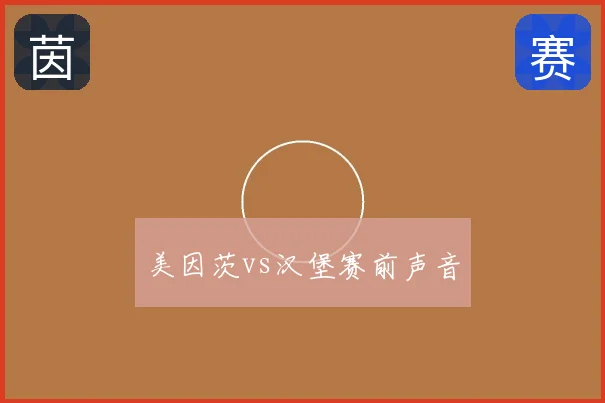 美因茨vs汉堡赛前声音
